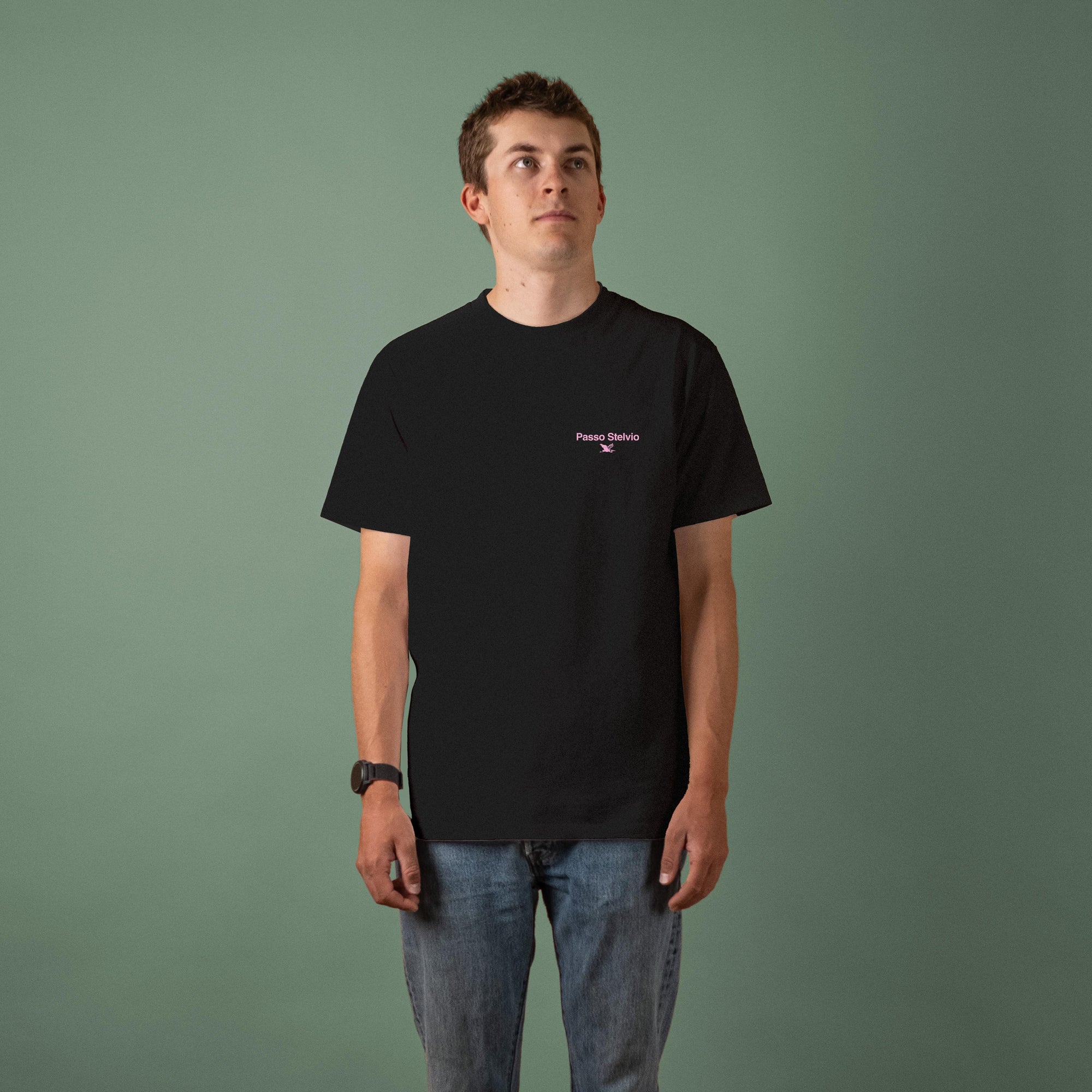 Passo Stelvio Climb Profiles T-Shirt