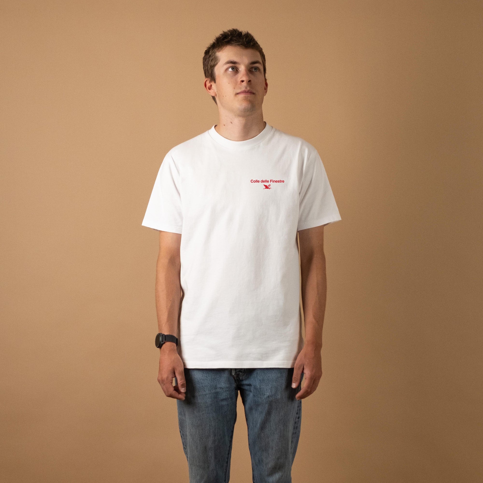 Colle delle Finestre Climb Profiles T-Shirt