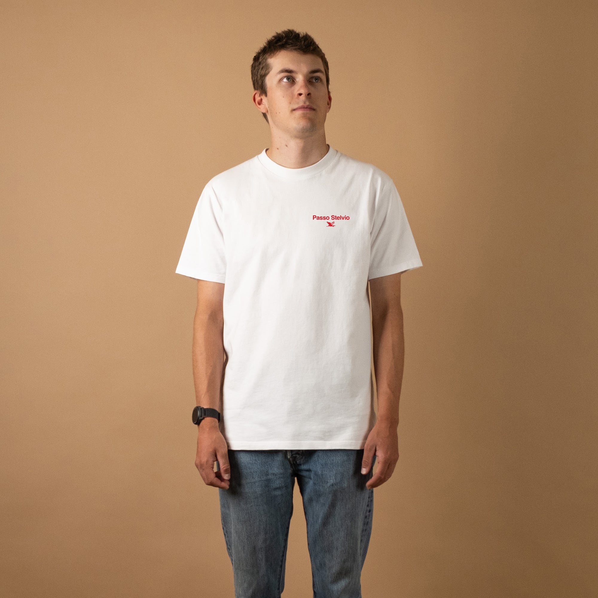 Passo Stelvio Climb Profiles T-Shirt