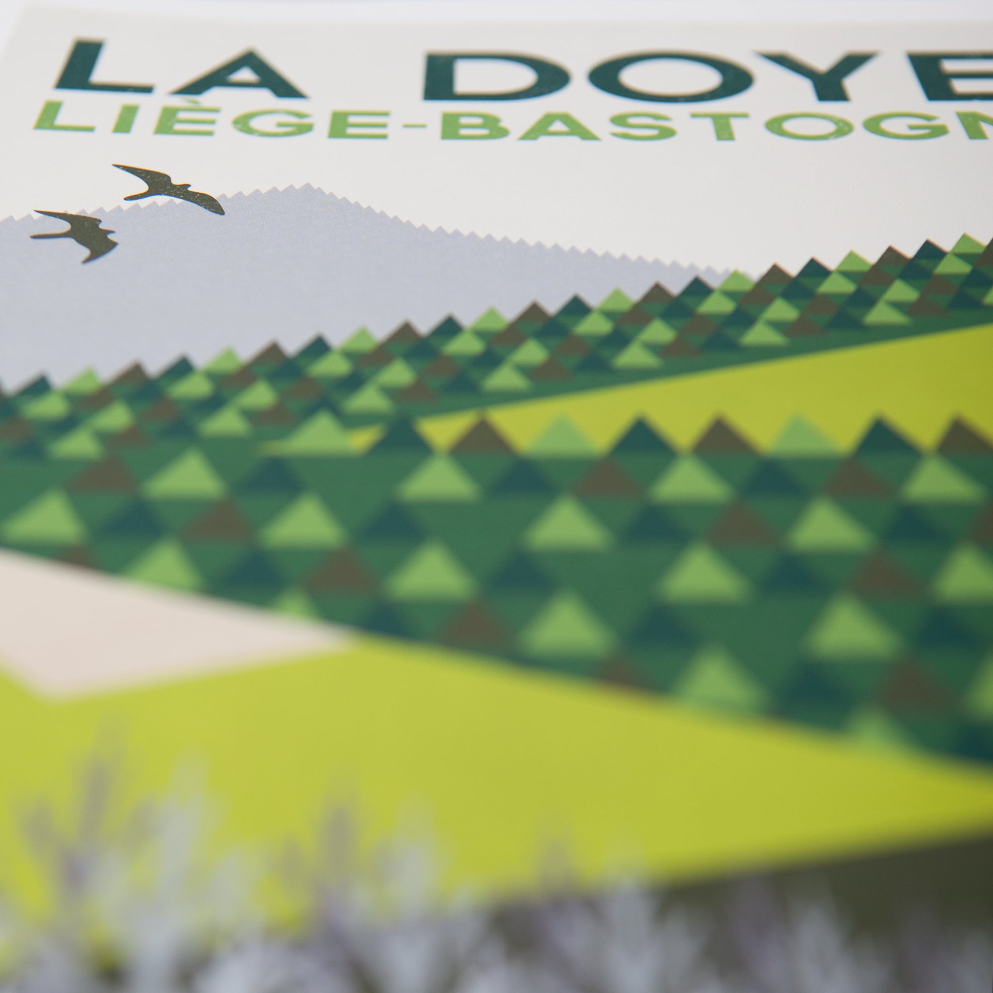 La Doyenne: Liege-Bastogne-Liege - Cycling Art Print